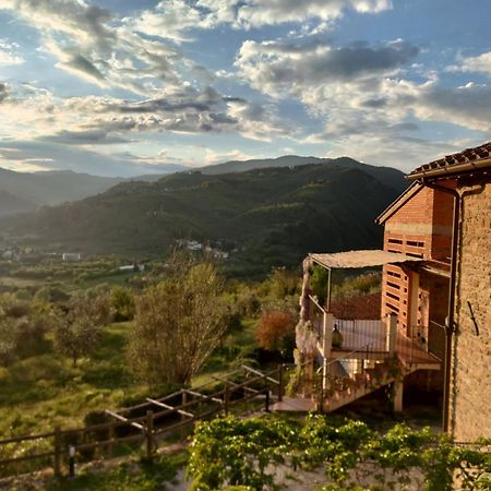 Agriturismo La Fontaccia Rufina Екстер'єр фото