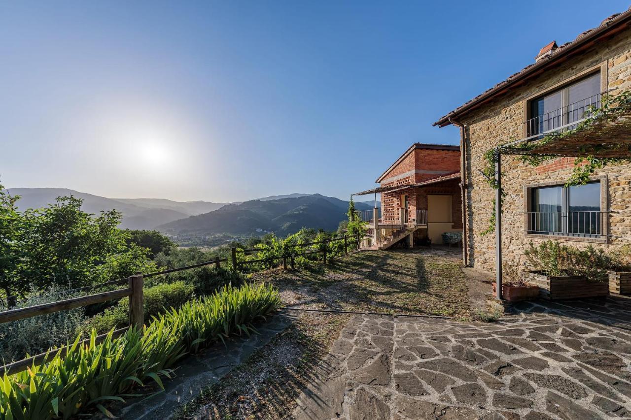 Agriturismo La Fontaccia Rufina Екстер'єр фото