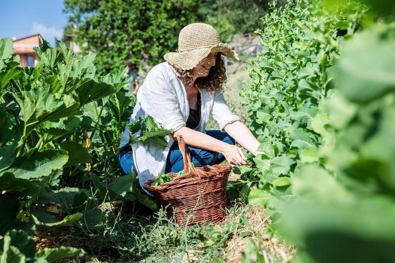 Agriturismo La Fontaccia Rufina Екстер'єр фото