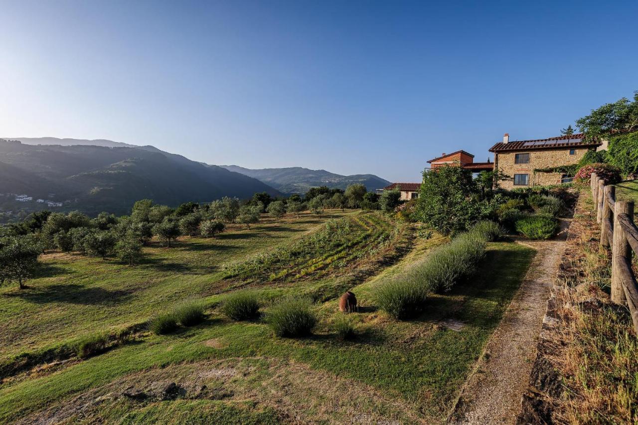 Agriturismo La Fontaccia Rufina Екстер'єр фото