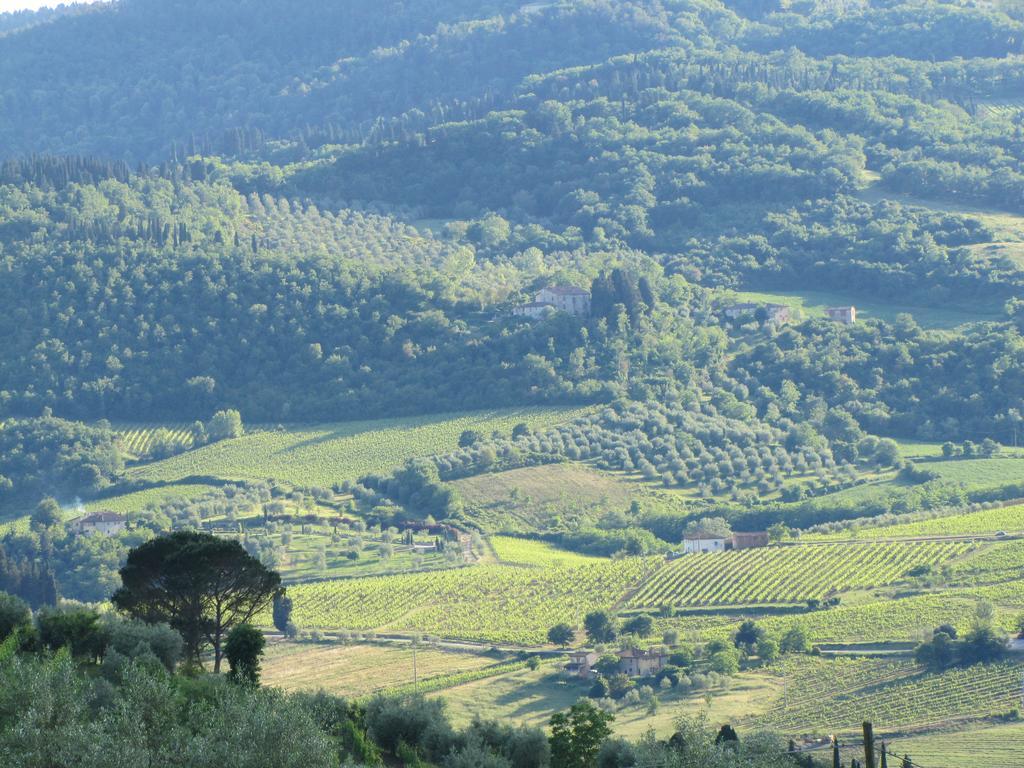 Agriturismo La Fontaccia Rufina Екстер'єр фото