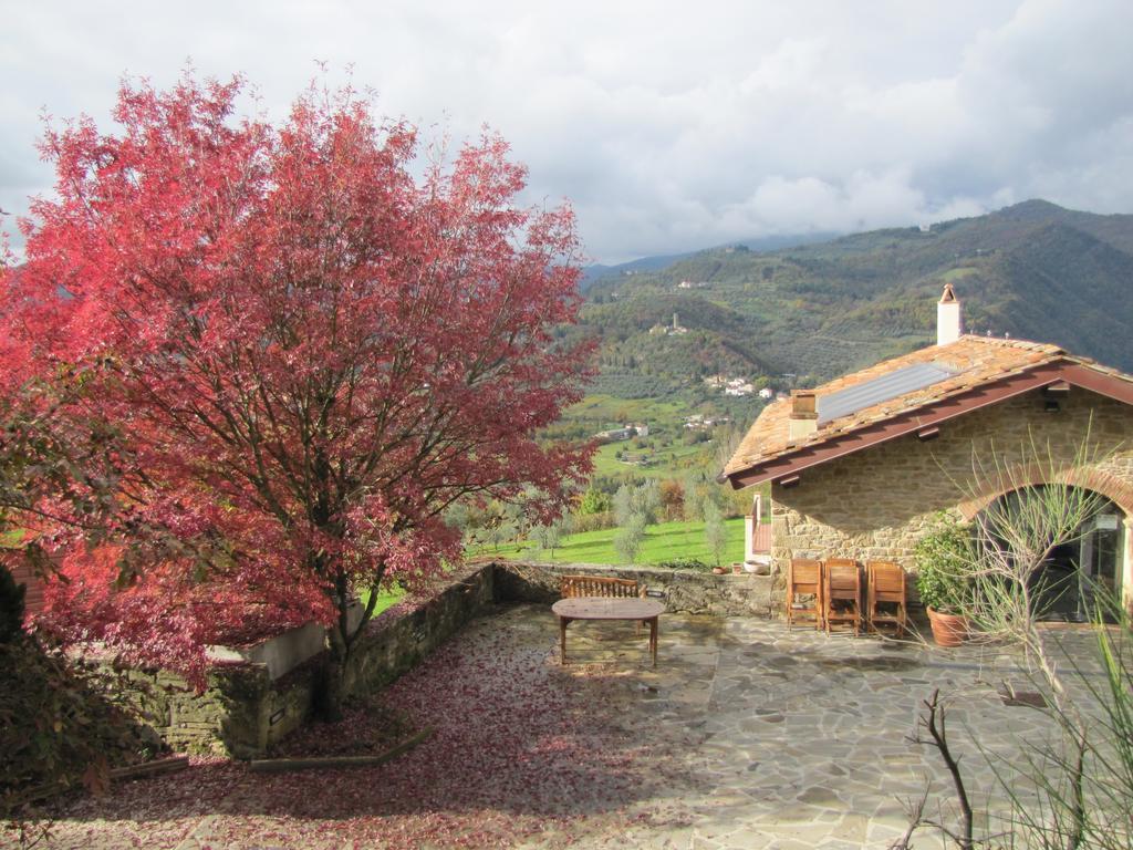Agriturismo La Fontaccia Rufina Екстер'єр фото