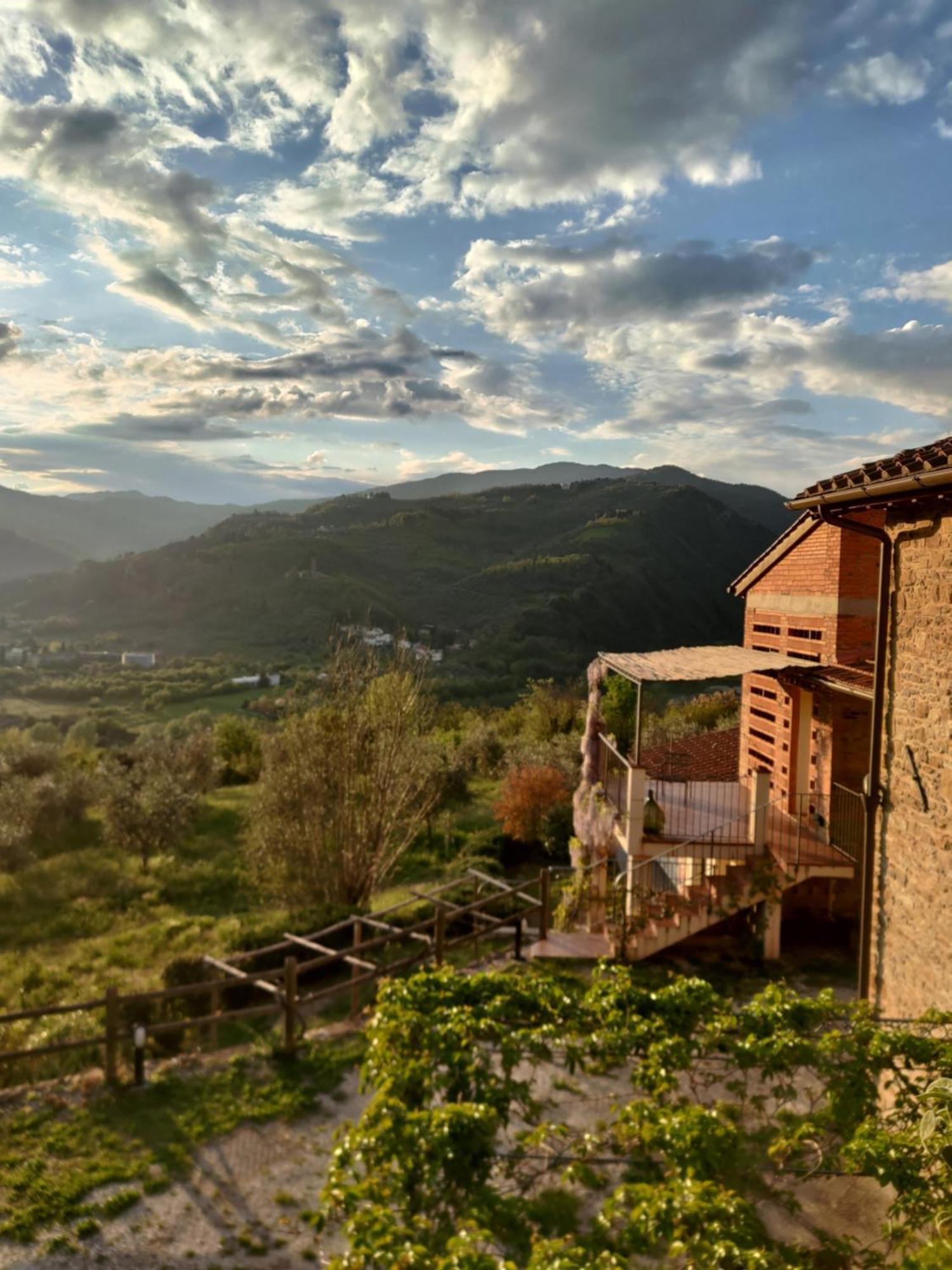 Agriturismo La Fontaccia Rufina Екстер'єр фото