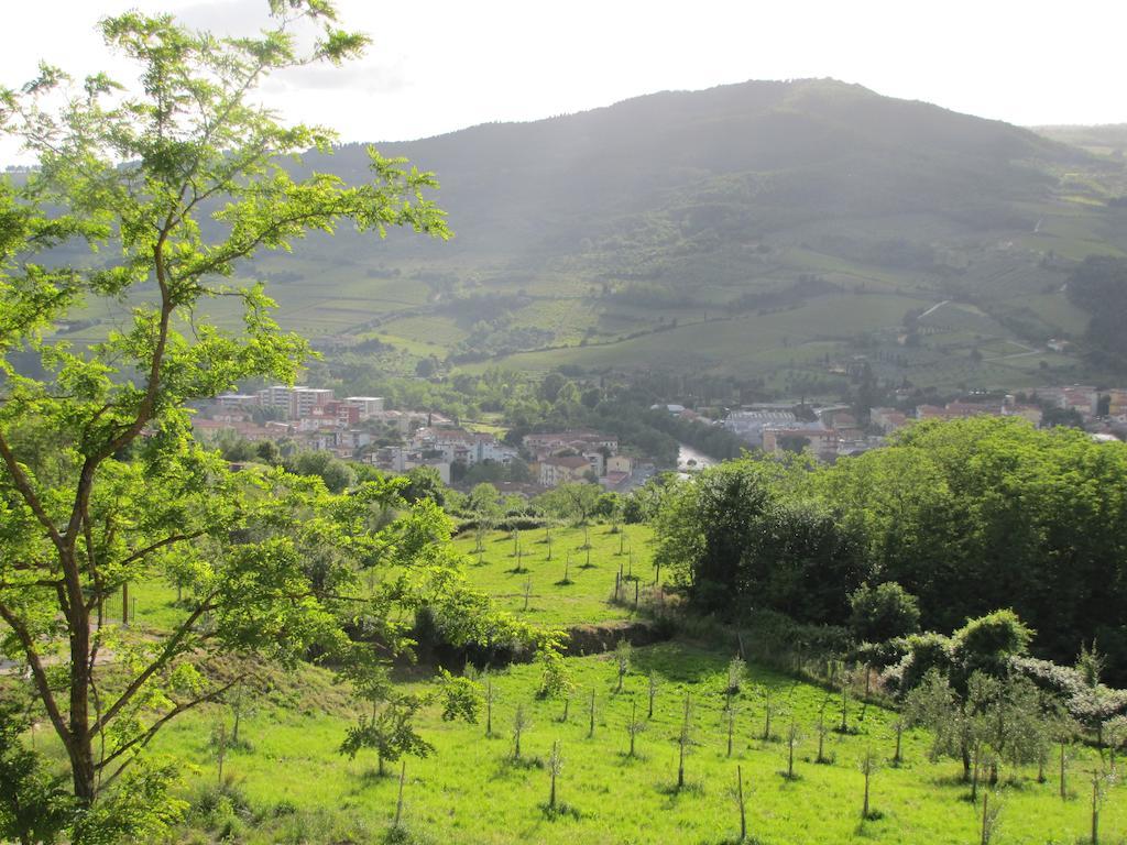 Agriturismo La Fontaccia Rufina Екстер'єр фото