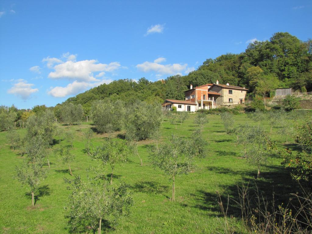 Agriturismo La Fontaccia Rufina Екстер'єр фото