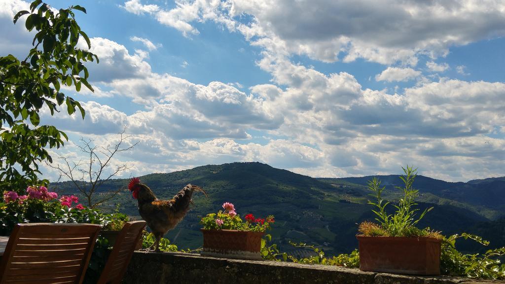 Agriturismo La Fontaccia Rufina Екстер'єр фото