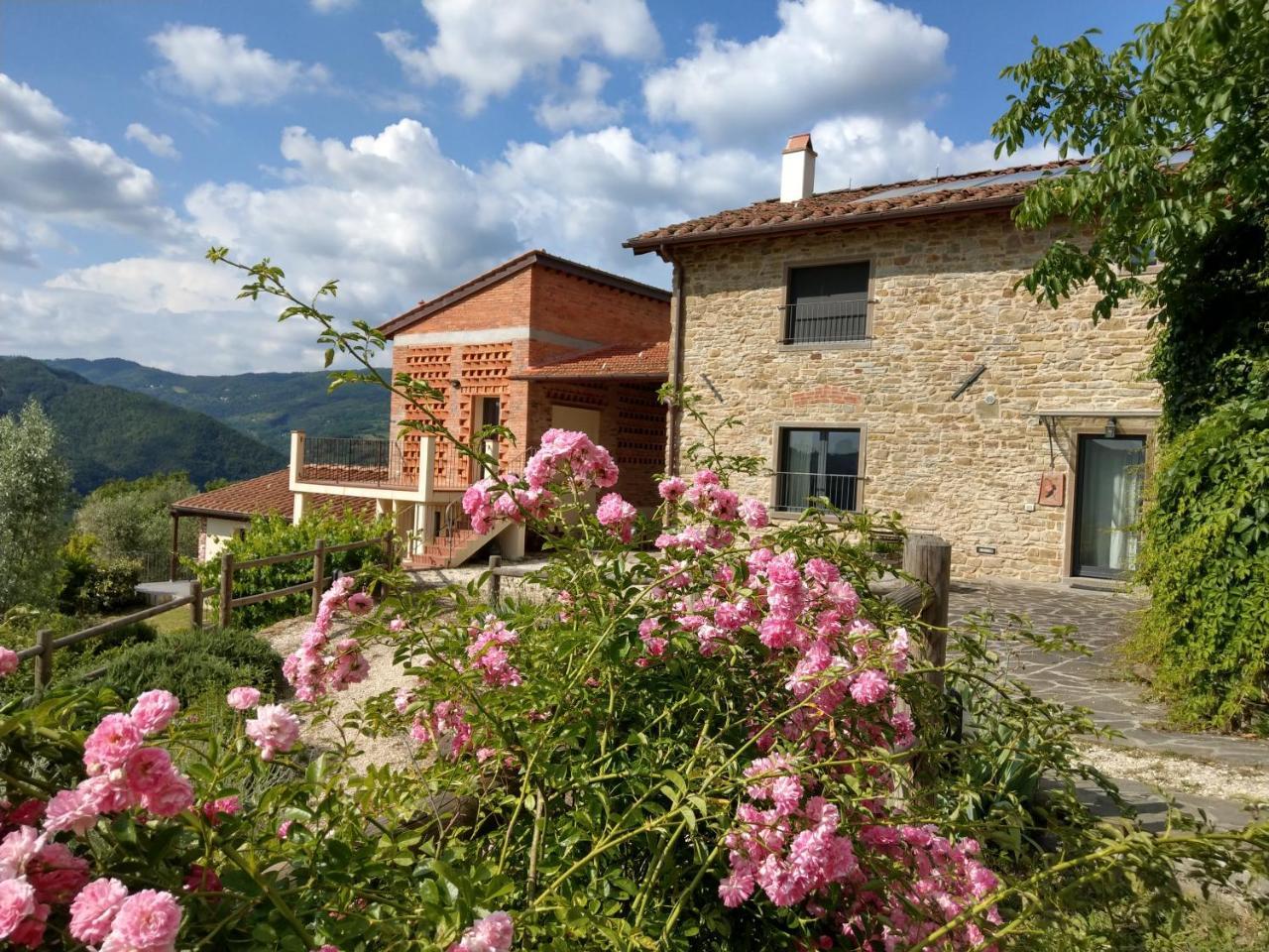 Agriturismo La Fontaccia Rufina Екстер'єр фото